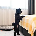 Отель Rubo
