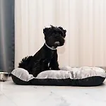 Rubo Отель Шумен